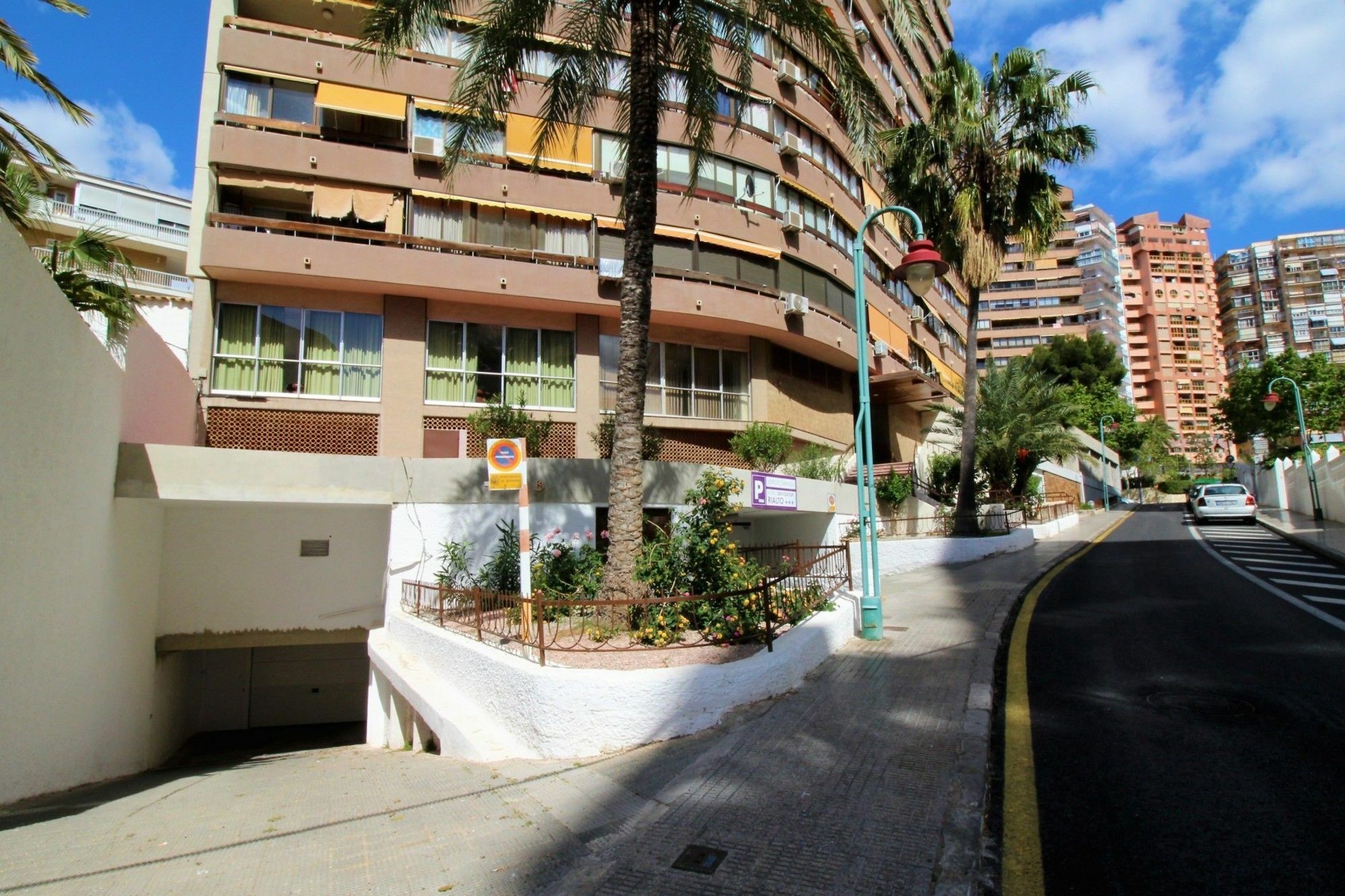 Girasol 54 *