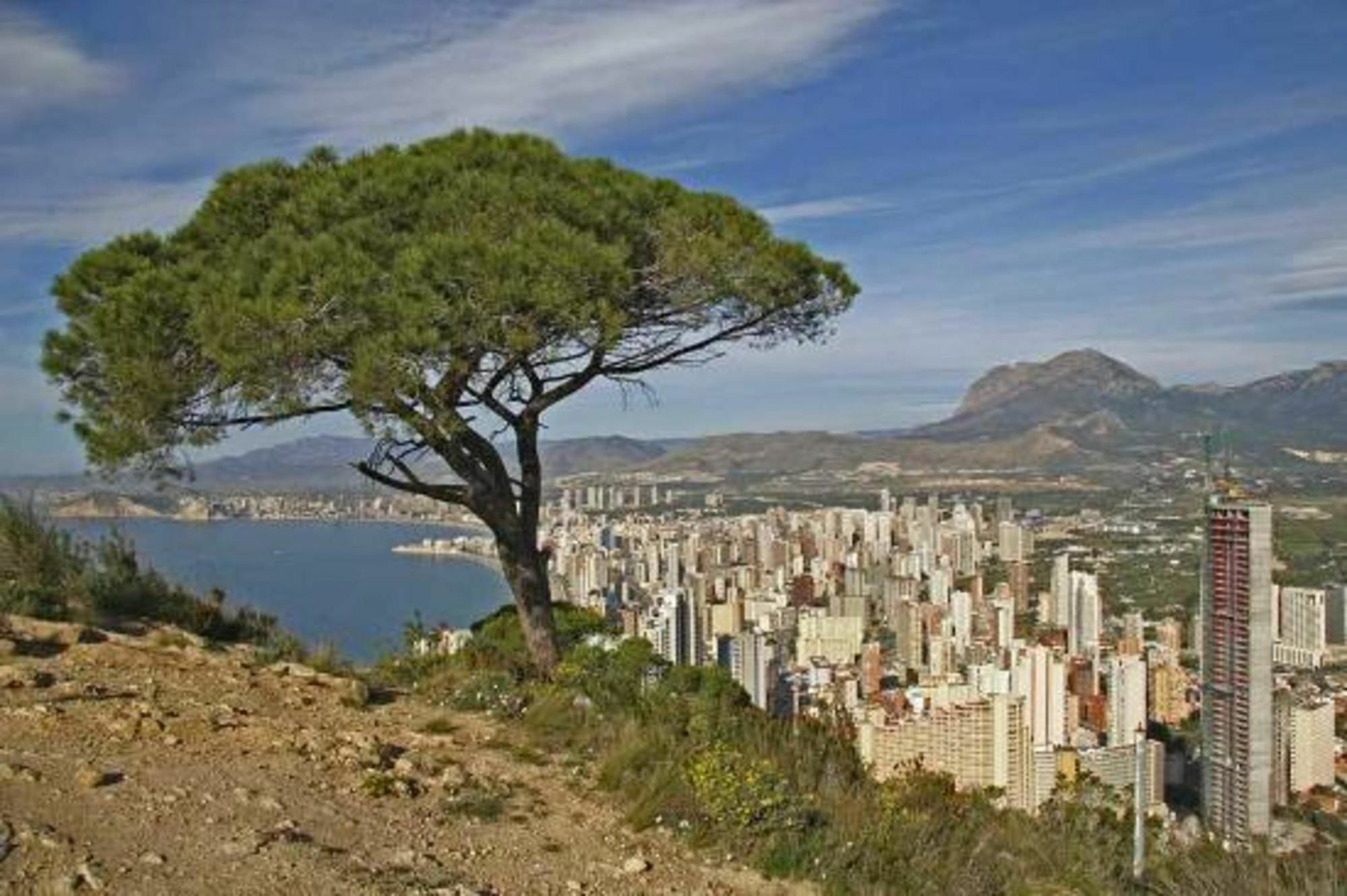 In Benidorm, Alicante 103101 By Mo * Benidorm
