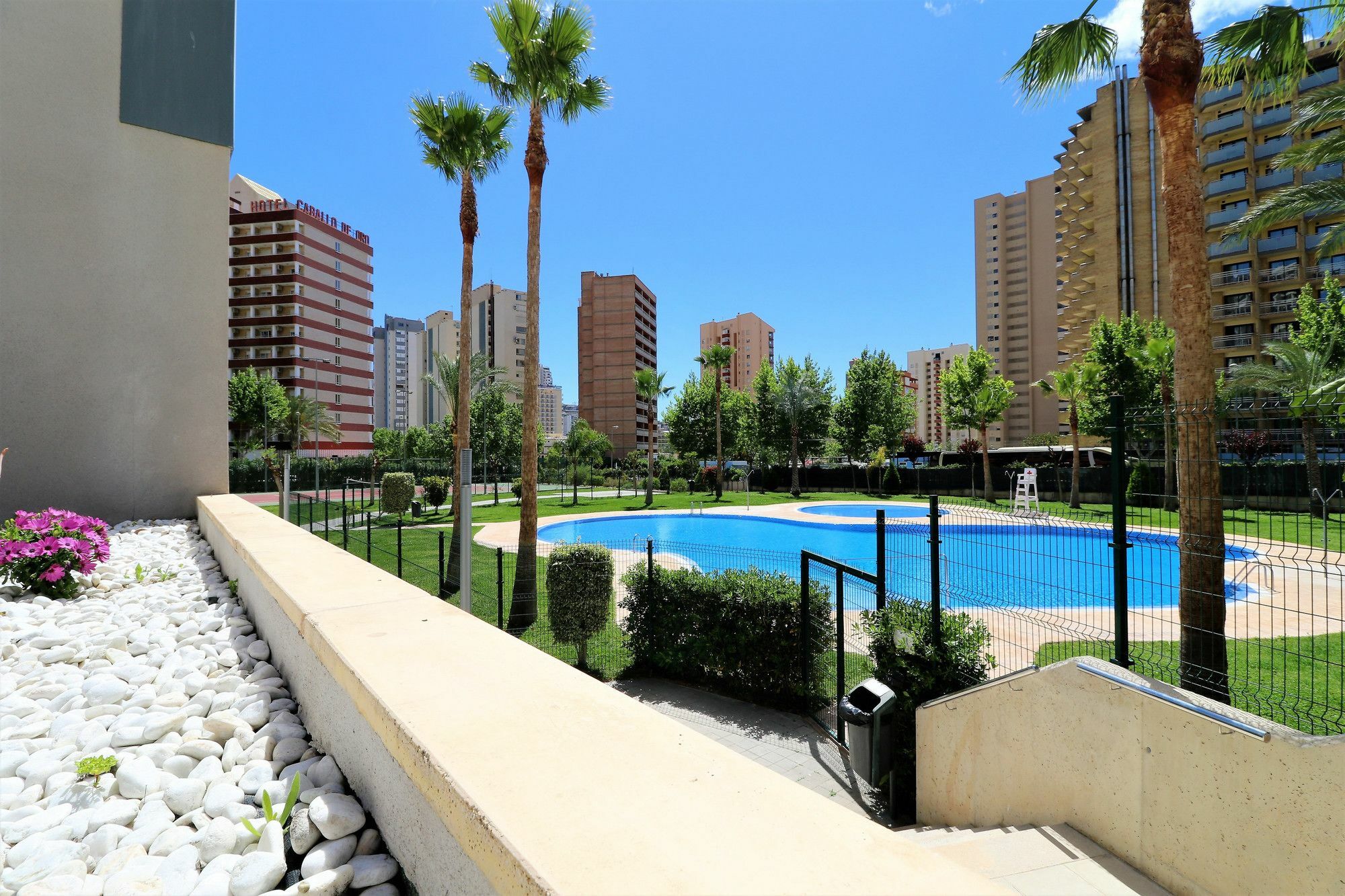Torres Doboe 22-4
