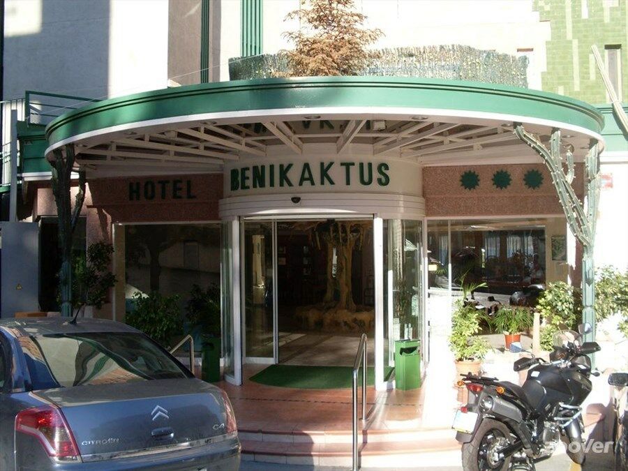 Kaktus Benikaktus