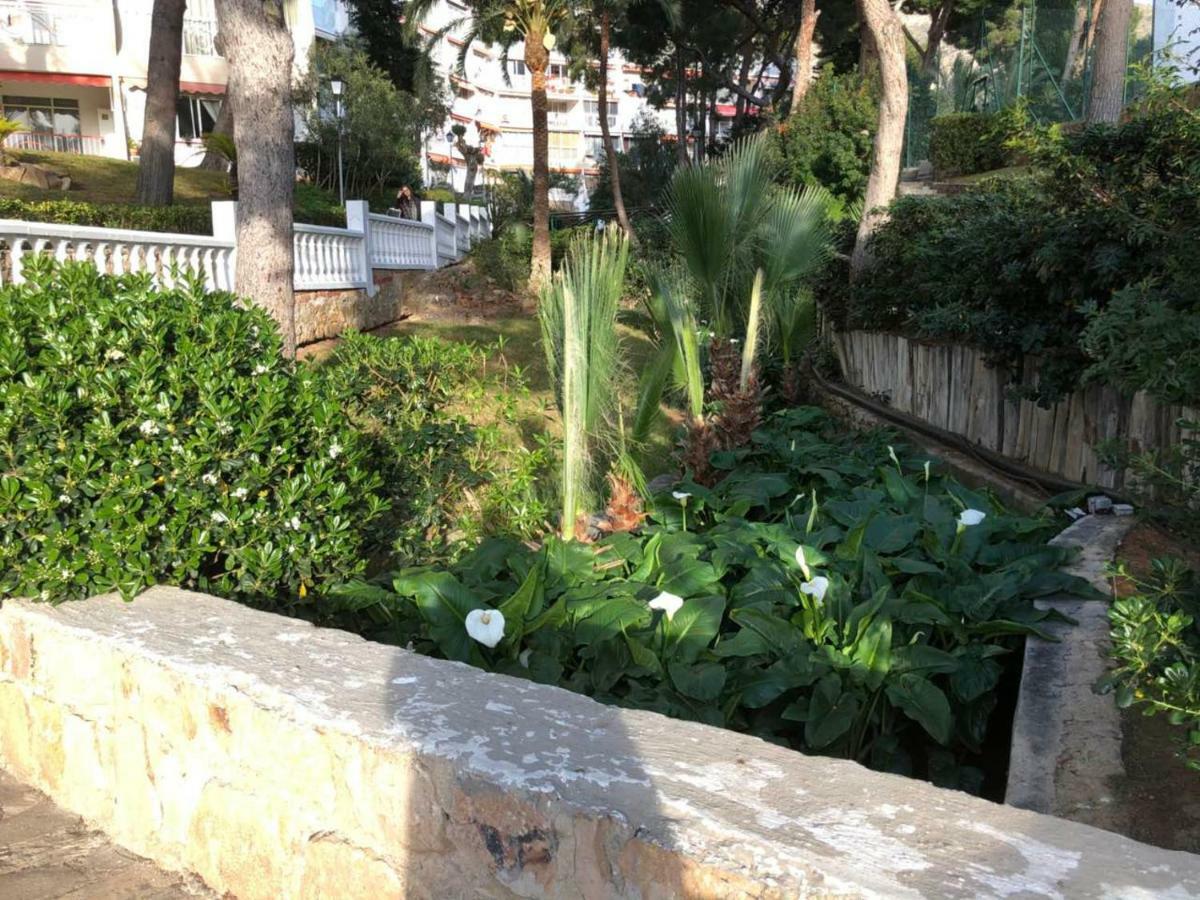 Apartamento Playmon Park *