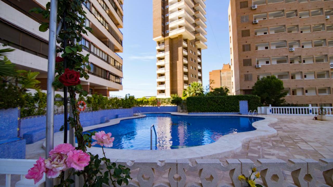 Panorámicos Trinisol Ii Apartamento