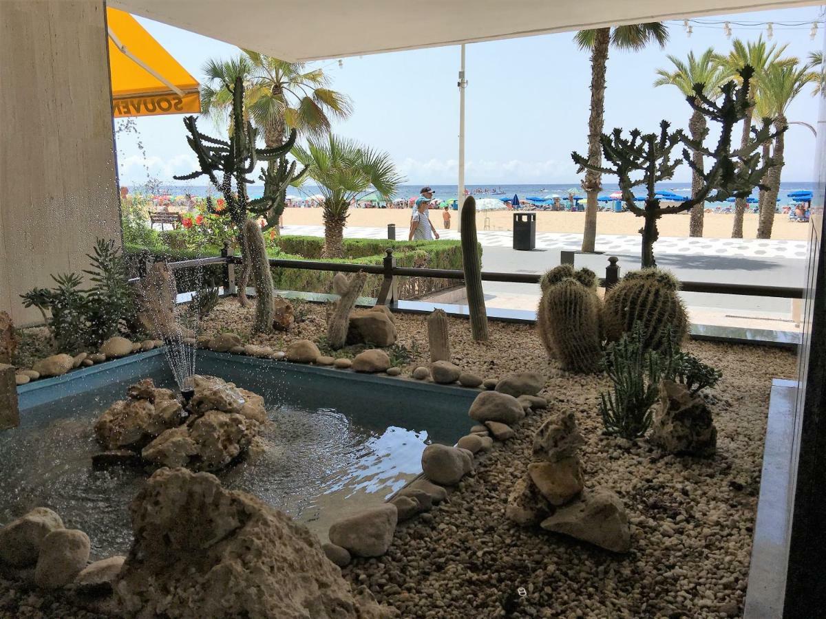 Primera Línea Playa Levante Benidorm