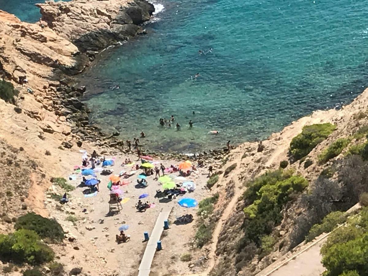 Belle Vue 1ère Lignée Marina