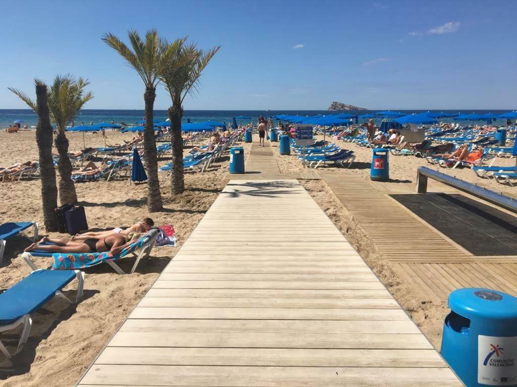 Agua Marina Levante *