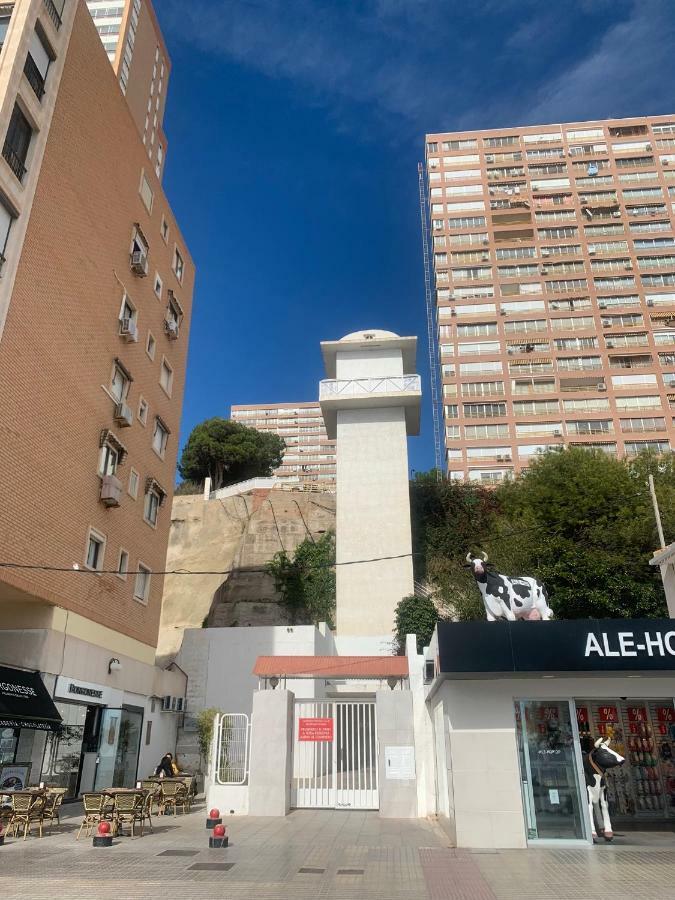 Apartamento Provima B