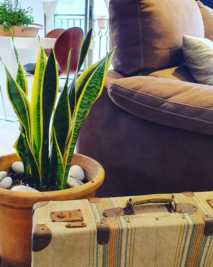Apartamento La Pineta Benidorm