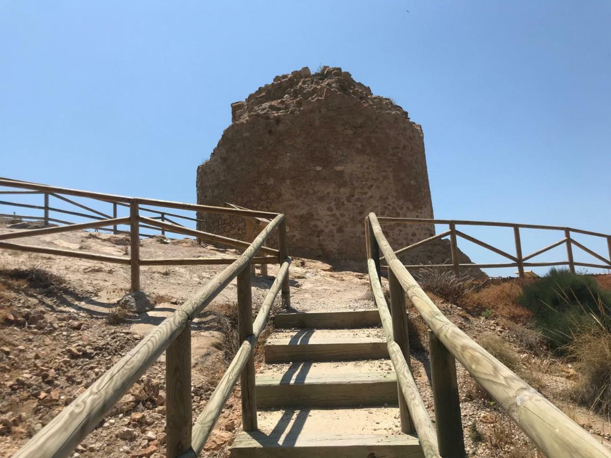 Belle Vue 1ère Lignée Marina * Benidorm