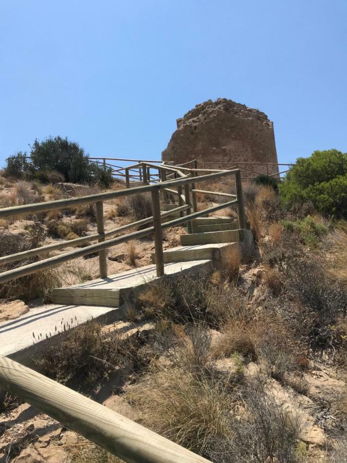 Belle Vue 1ère Lignée Marina * Benidorm