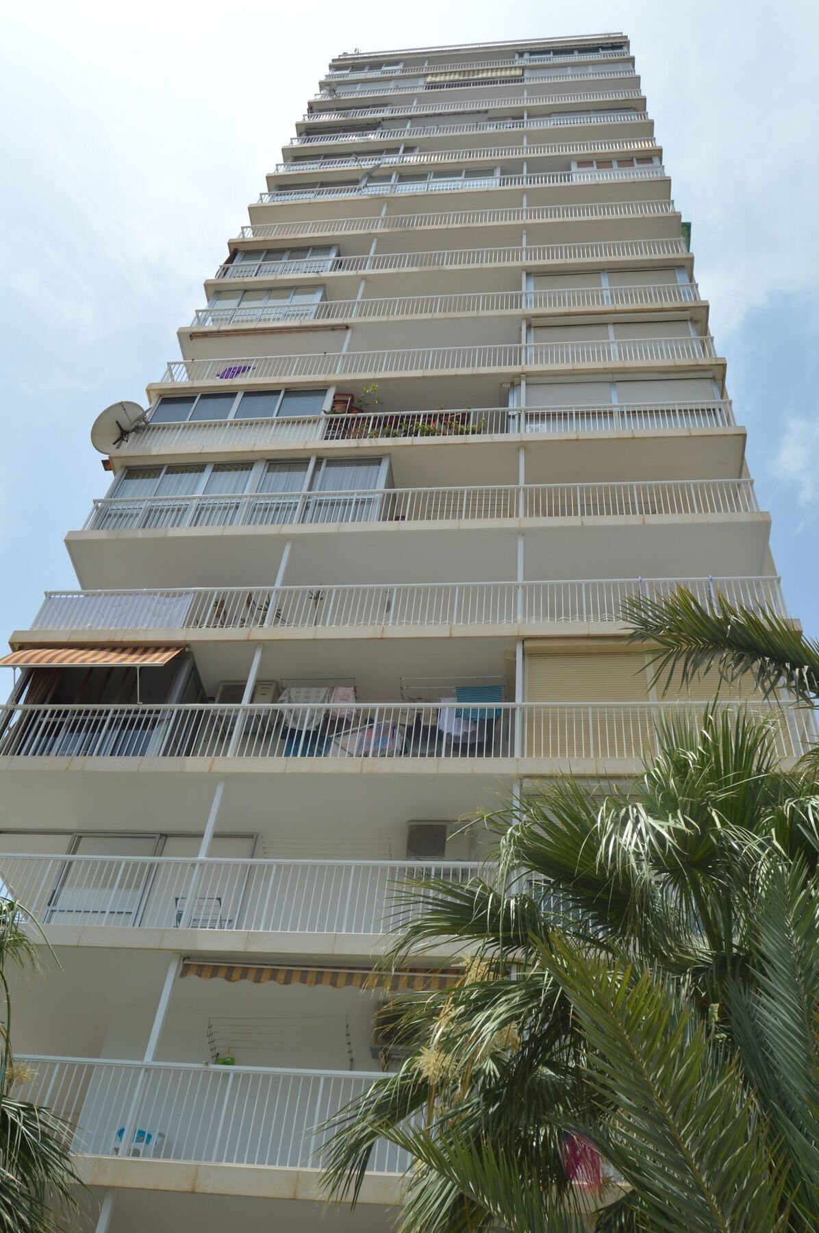 Apartamento Albatros *