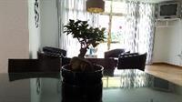 New Trebol *