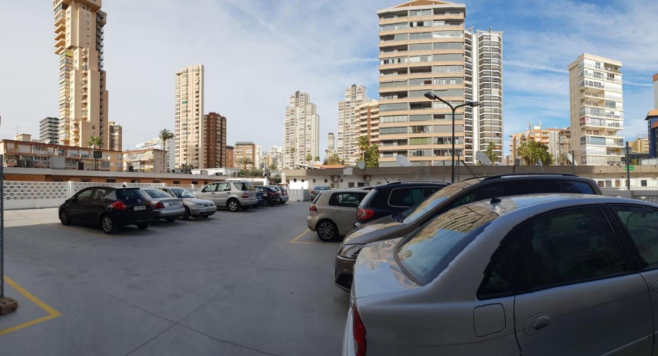 Caballos - Arena *