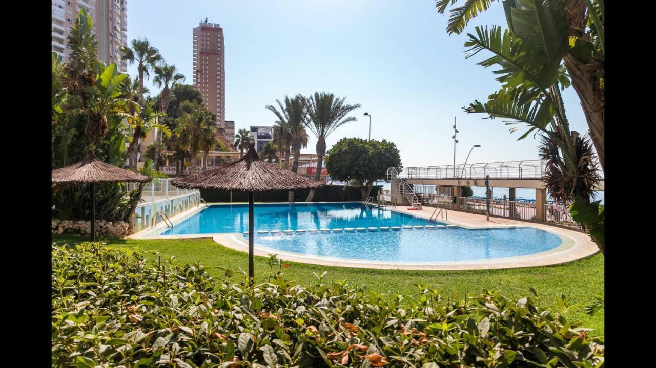 Apartamento Vip Olivar Poniente Benidorm