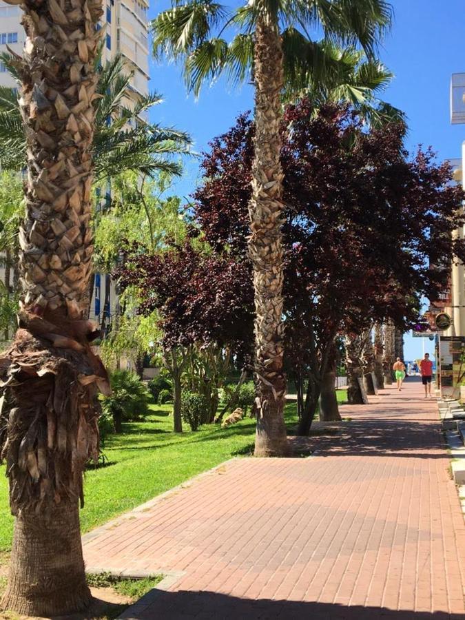 Calle Gerona - 2 * Benidorm
