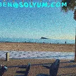 Sunny Breeze