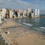 Cachirulo - Fincas Arena