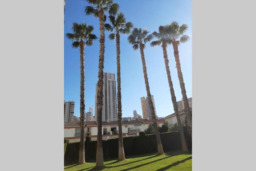 Mariscal 6 * Benidorm