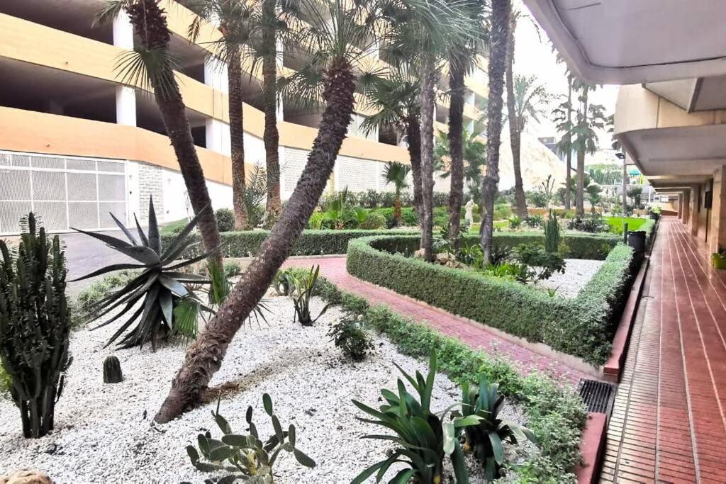 Benipark Poniente