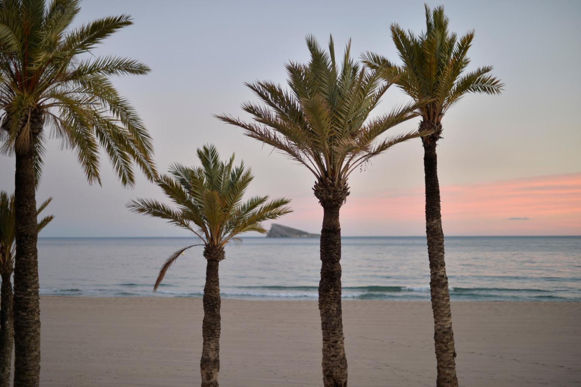 Sunset Cliffs Apartamento Benidorm
