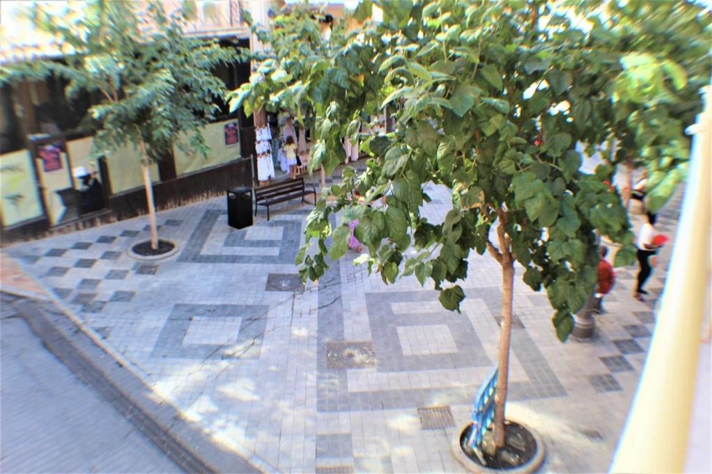 Alameda 31-1a Centro Apartamento