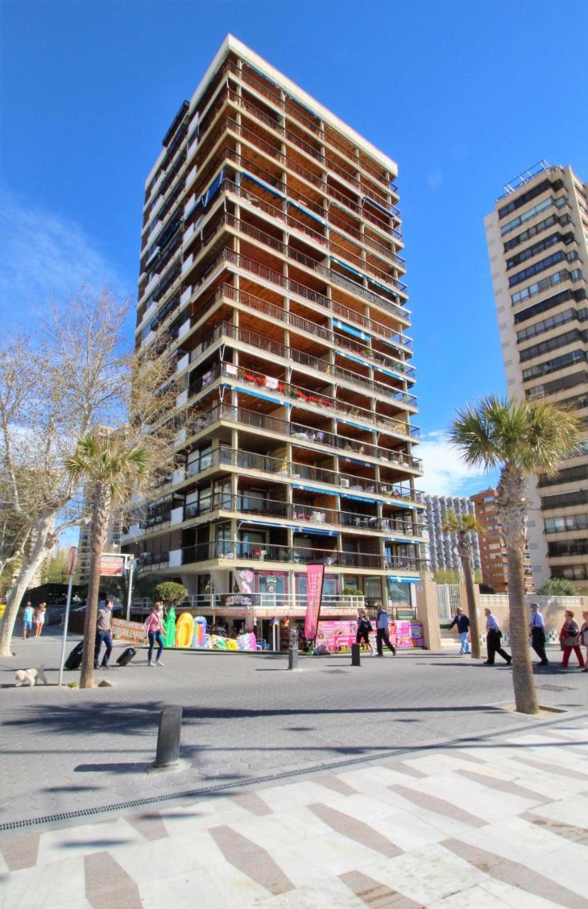 Estacha * Benidorm