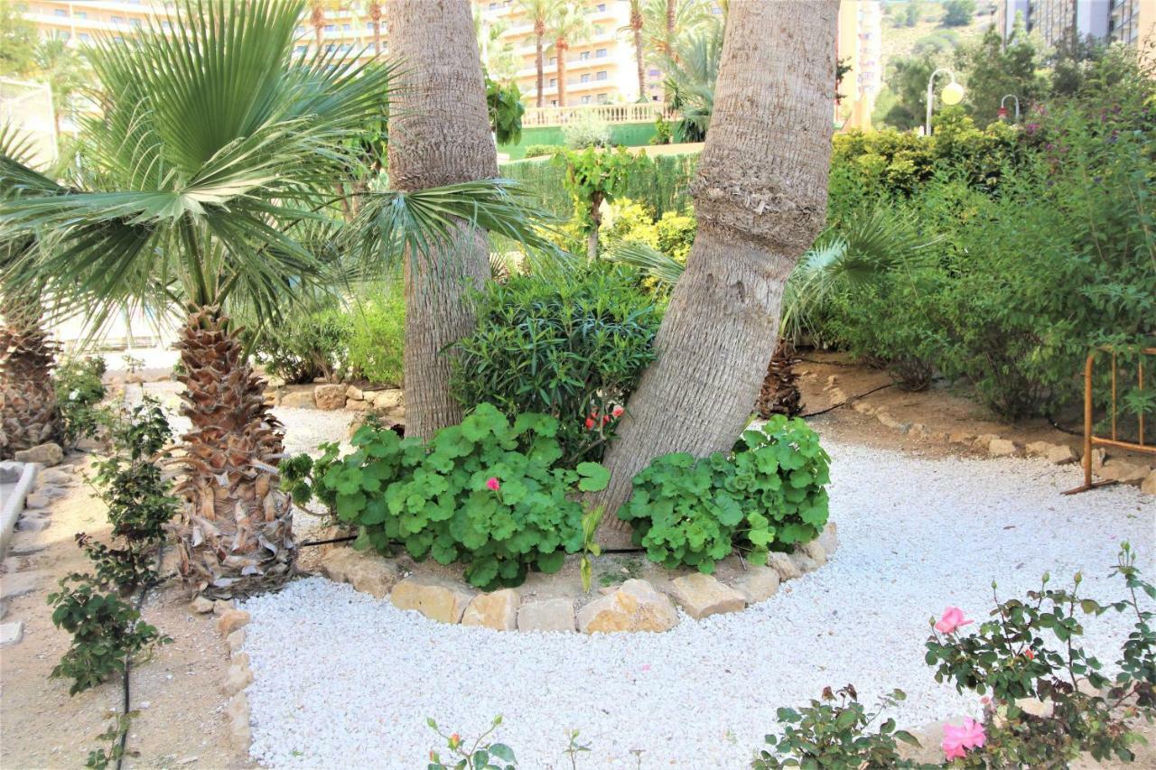 Apartamento Atico Levante Torre Montecarlo Benidorm
