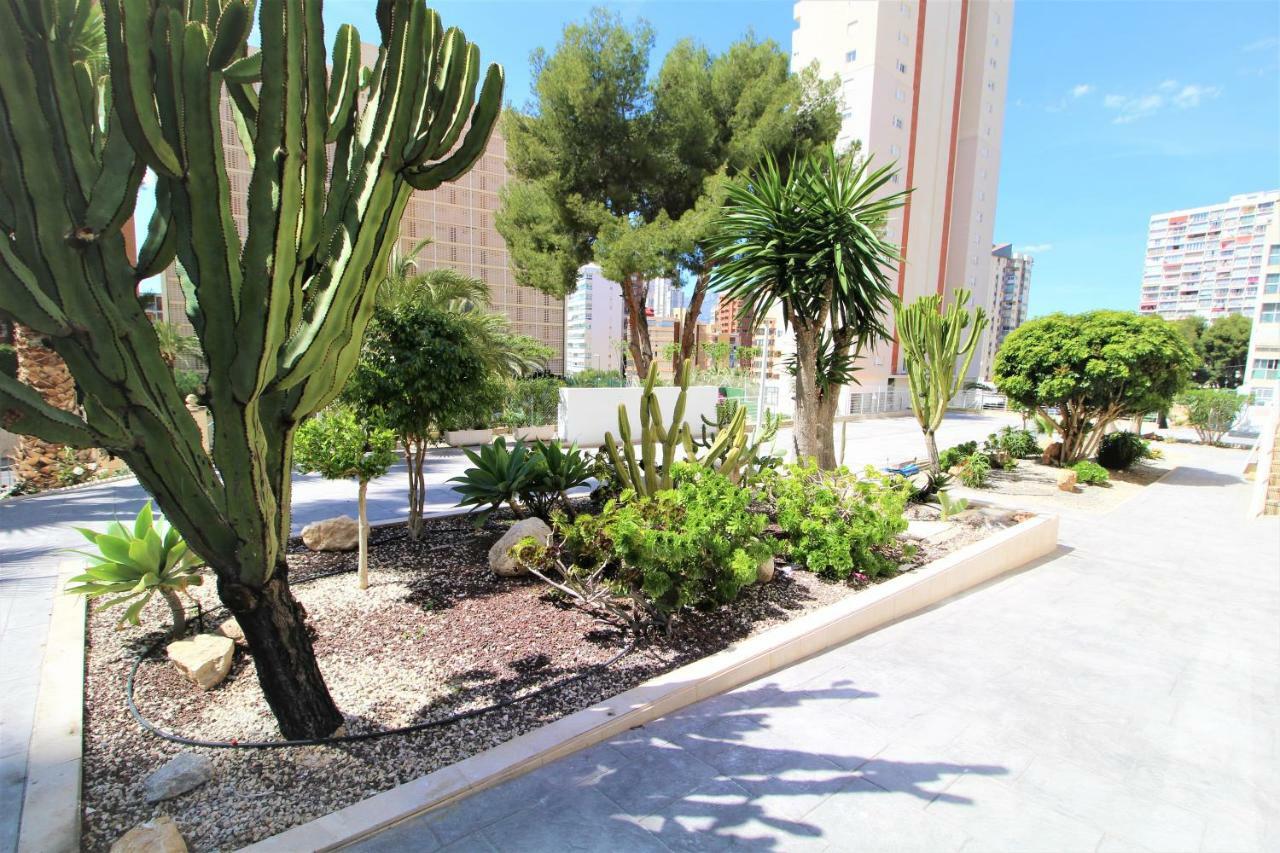 Atico Levante Torre Montecarlo Apartamento *