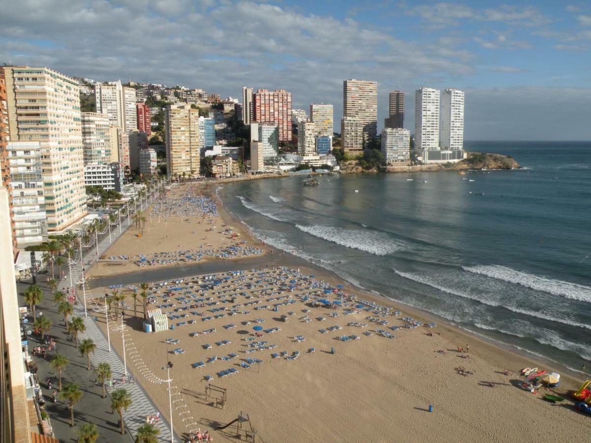 Cachirulo - Arena * Benidorm