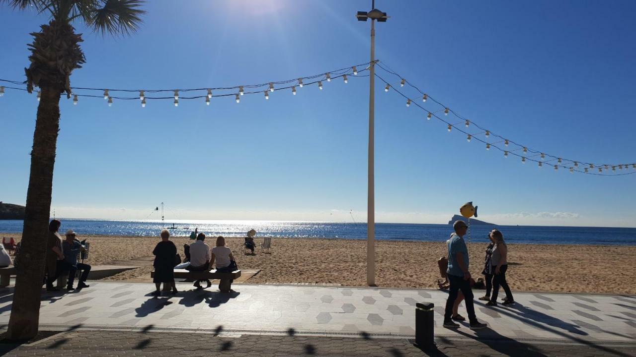 Cachirulo - Arena