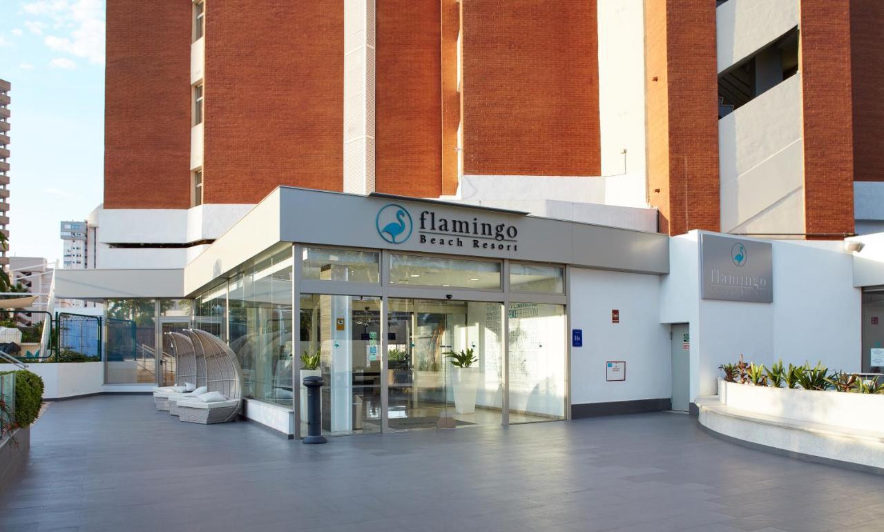 Flamingo - Adults Recommended Apartahotel 4*
