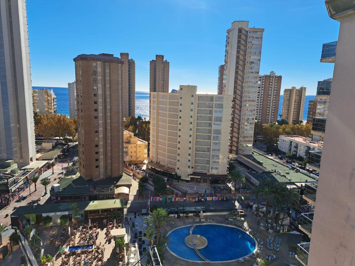 Provima Mallorca V