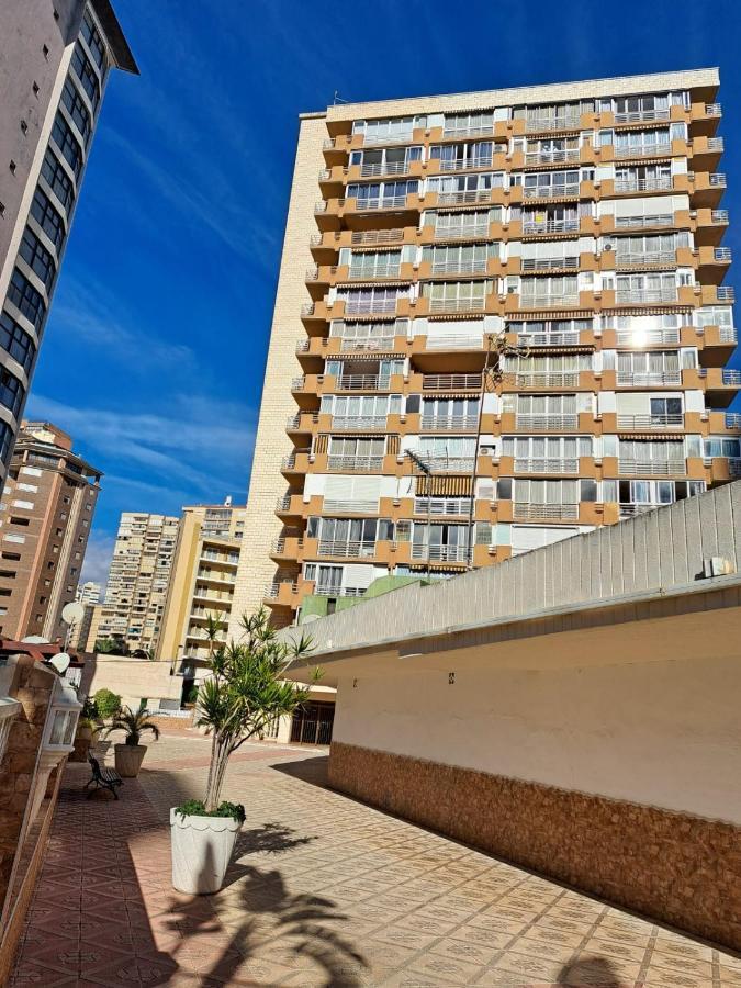 Provima Mallorca V