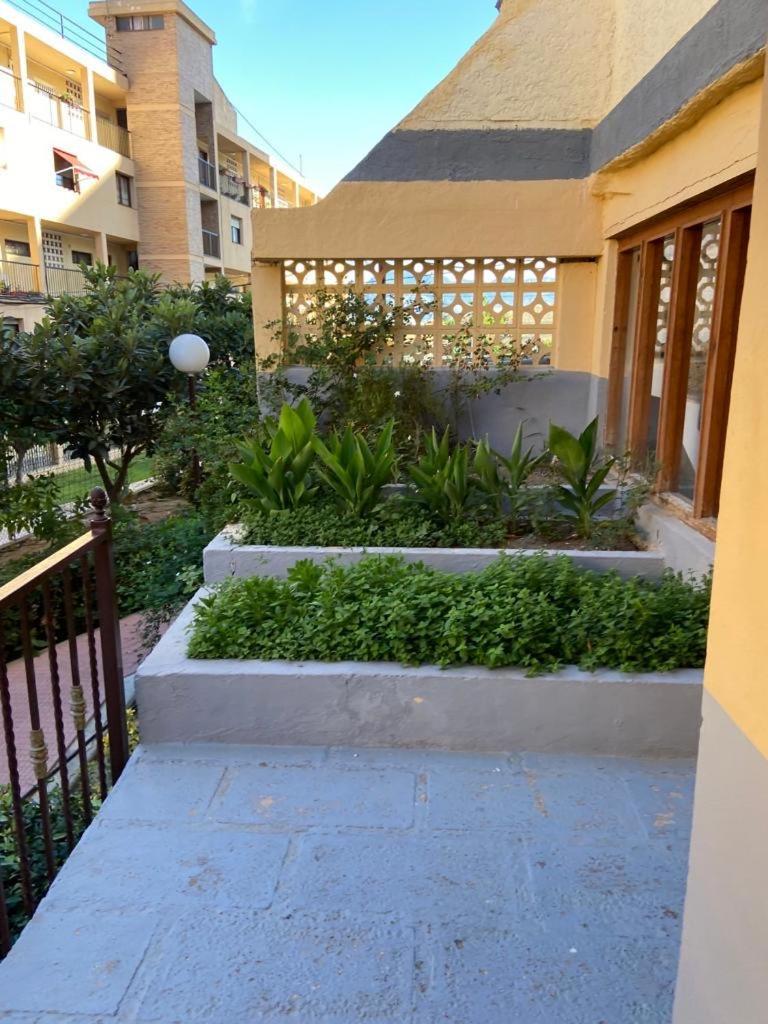 Apartamento Marabu *