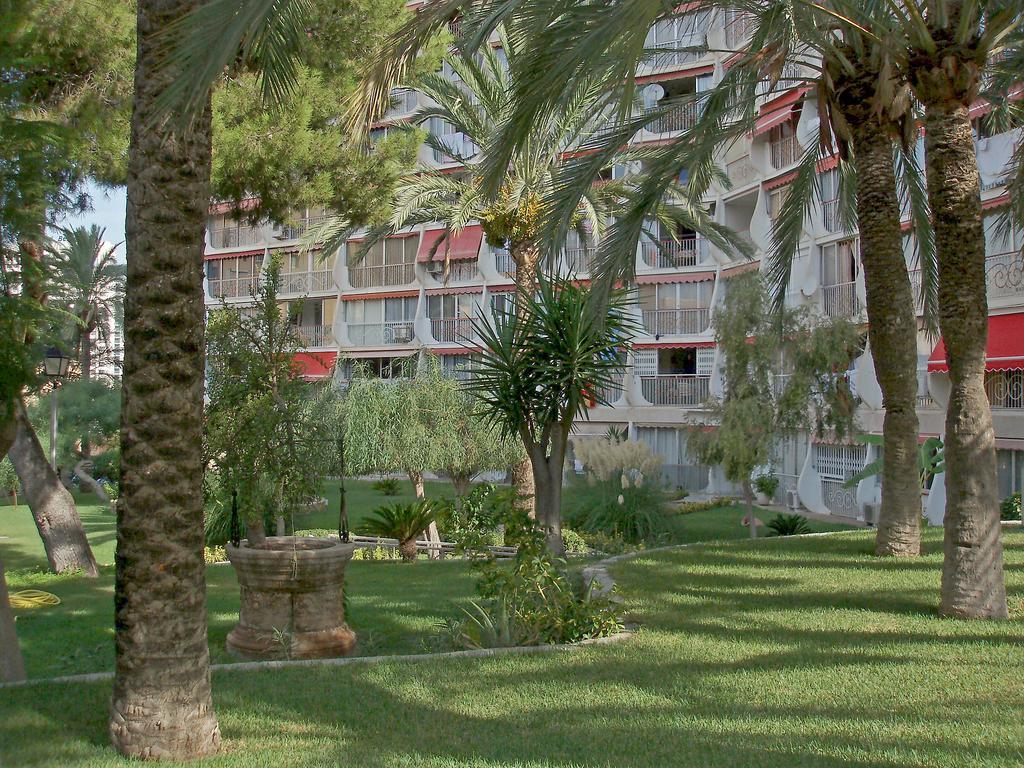 Apartment Playmon Park