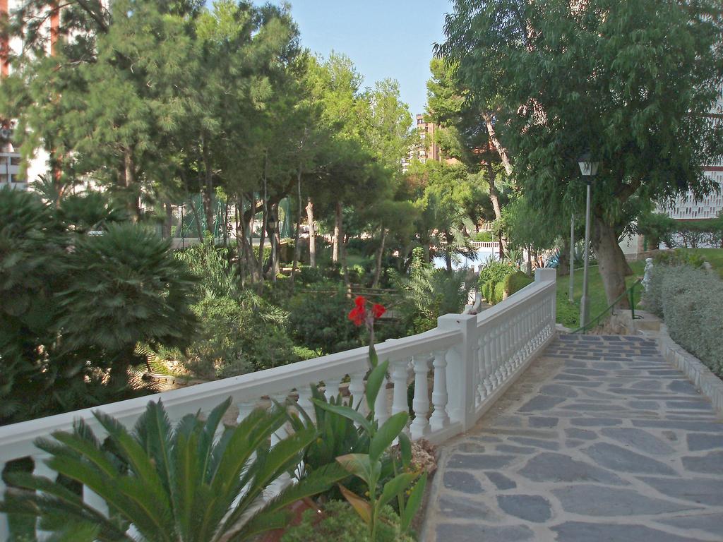 Apartment Playmon Park Benidorm