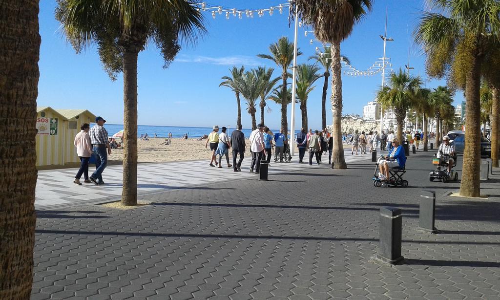 Apartamento Rex Benidorm