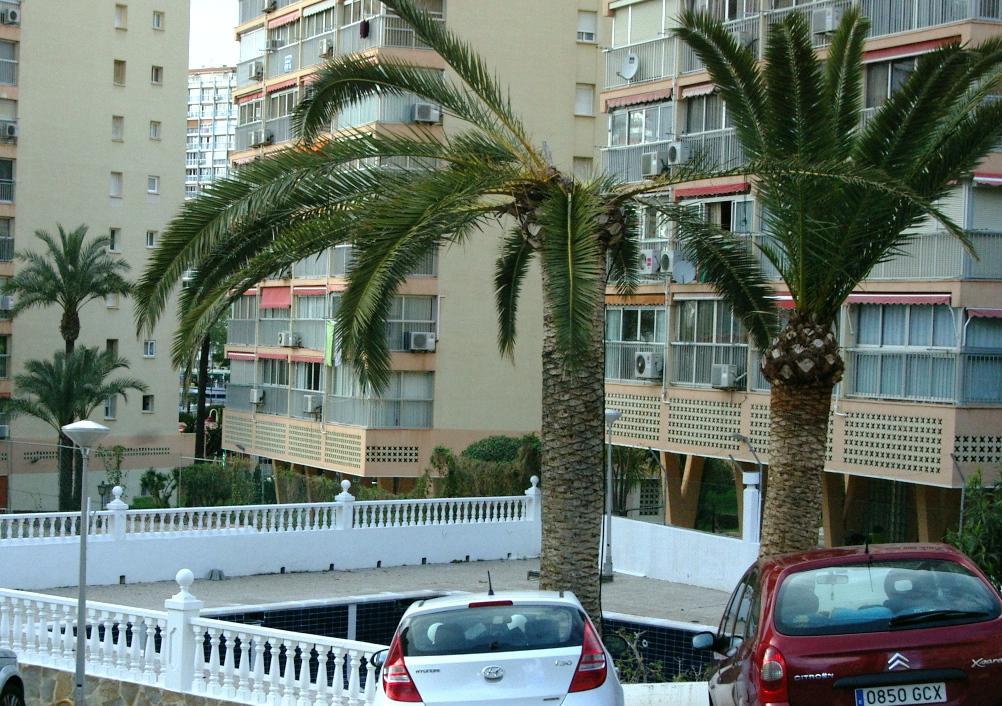 Apartamento Don Miguel 1 - Arca Rent *