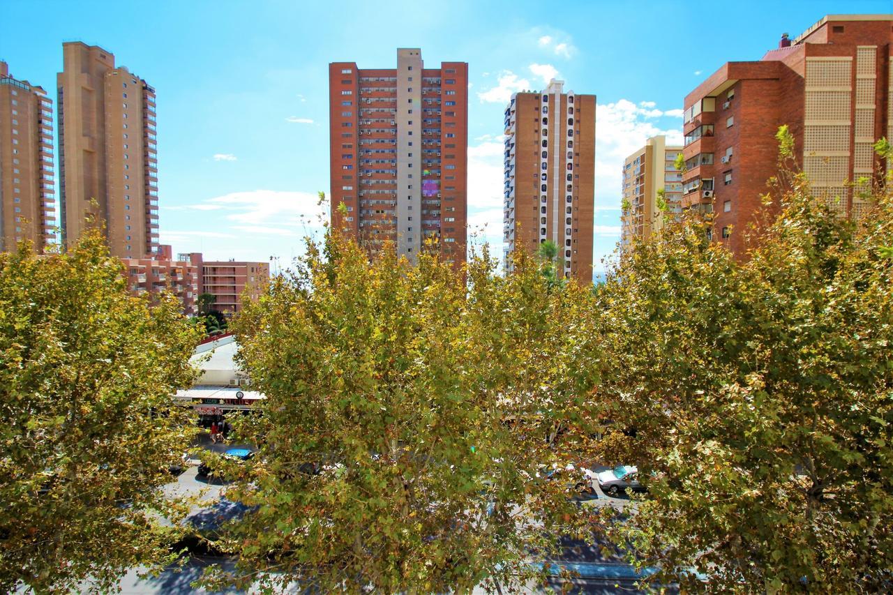 Caballos 4g Apartamento
