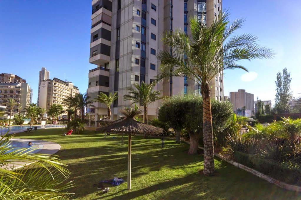 Gemelos 26 * Benidorm