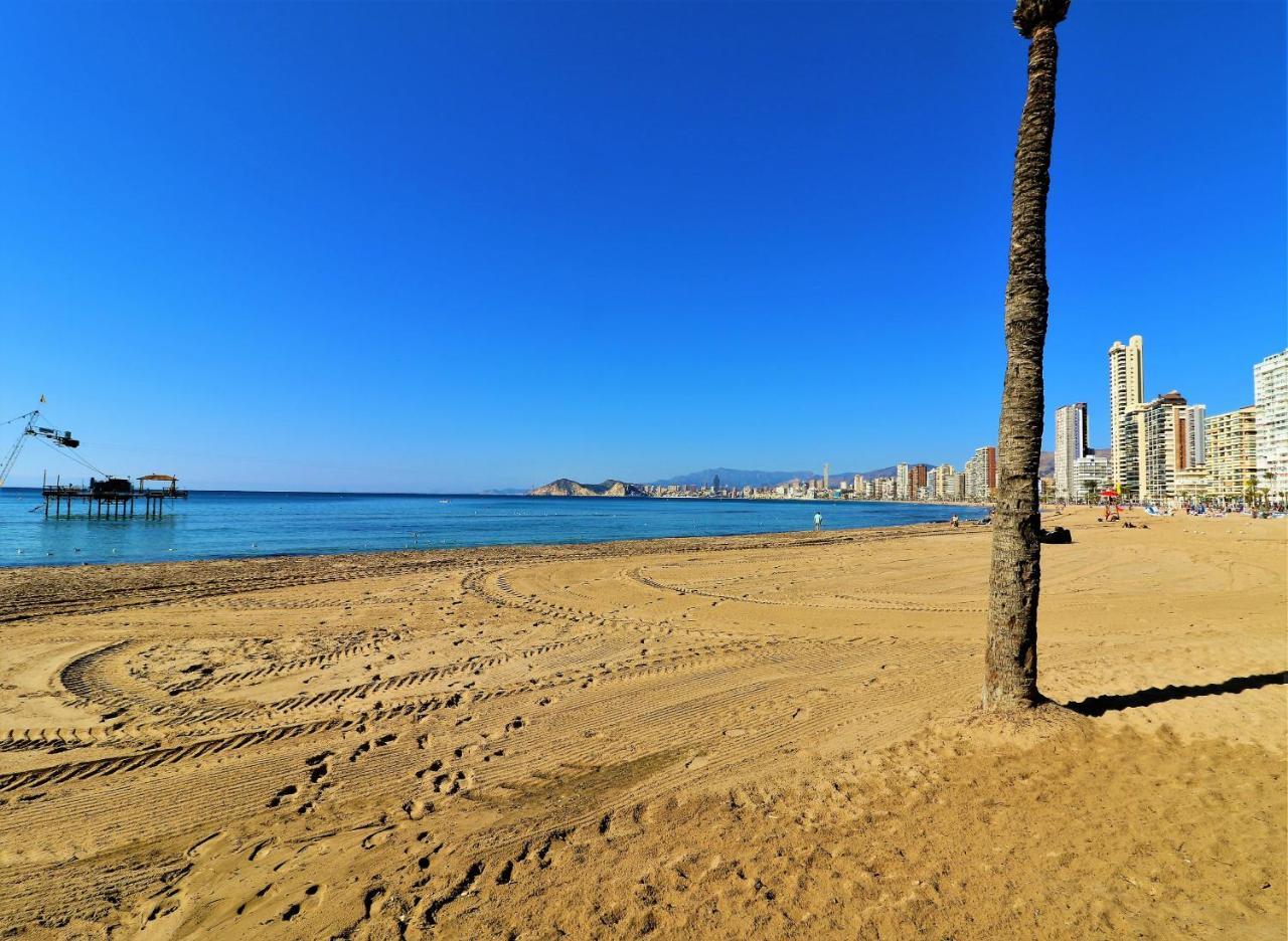 Don Miguel 1 4-b Apartamento Benidorm